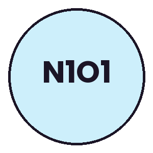 N1O1