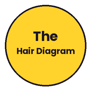 The Hair Diagram